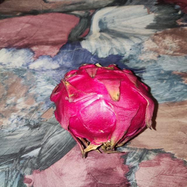 dragon fruit images